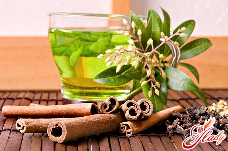 Чем полезен зеленый чай для похудения?
