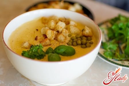 Лучшие рецепты приготовления супа-пюре из различных овощей